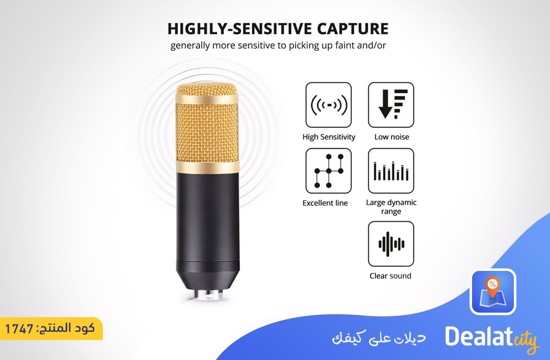 BM800 Microphone - DealatCity Store	