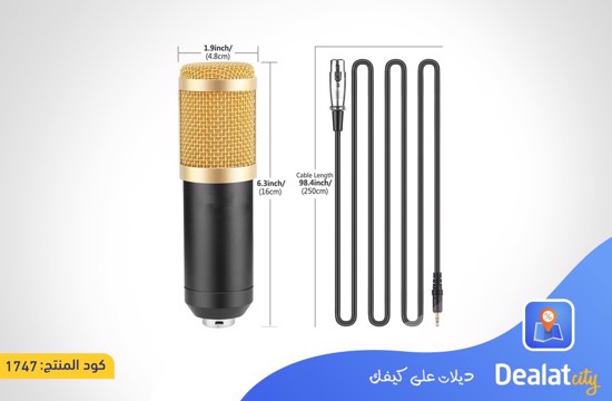 BM800 Microphone - DealatCity Store	