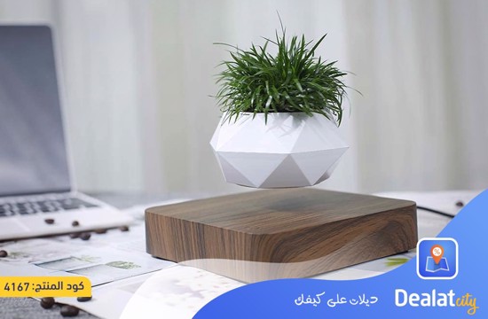 Magnetic Floating Bonsai Flower Pot - dealatcity store