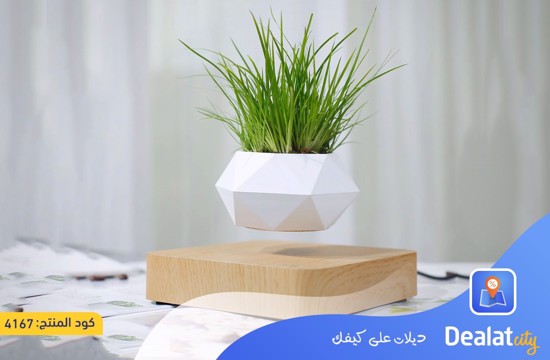 Magnetic Floating Bonsai Flower Pot - dealatcity store