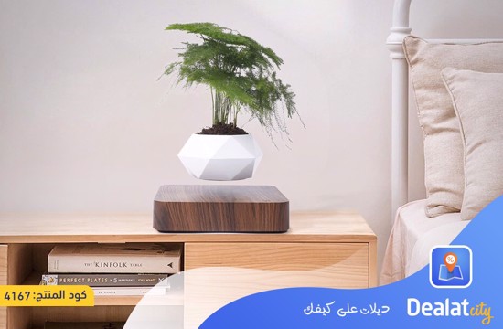 Magnetic Floating Bonsai Flower Pot - dealatcity store