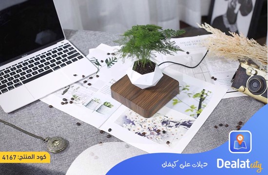 Magnetic Floating Bonsai Flower Pot - dealatcity store