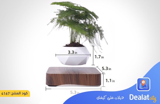 Magnetic Floating Bonsai Flower Pot - dealatcity store