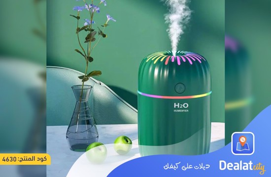 300ml Portable Diffuser Air Humidifier - dealatcity store