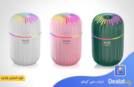 300ml Portable Diffuser Air Humidifier - dealatcity store