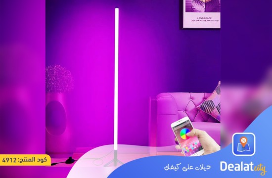 RGB LED Floor Lamp - dealatcity store