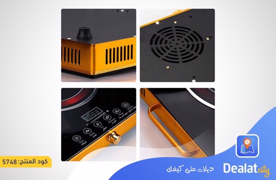 Multifunctional Double-head Electric Ceramic Stove - dealatcity store